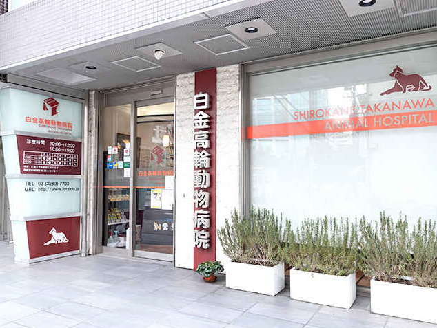 病院　白金高輪動物病院（病院）まで172m