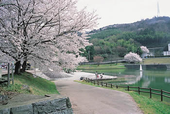 公園　前山公園（公園）まで1118m