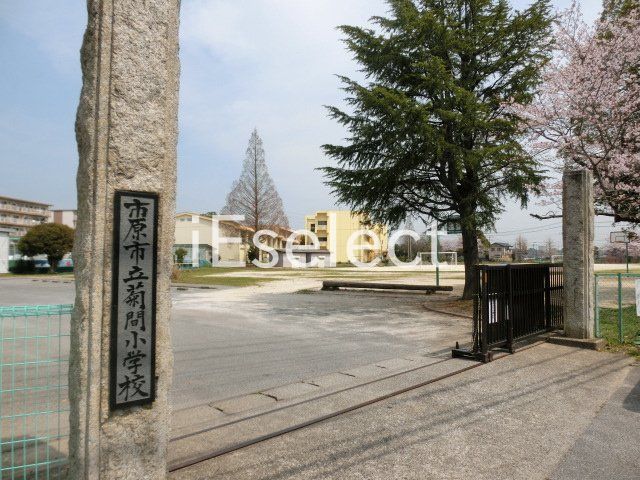 小学校　市原市立菊間小学校（小学校）まで1280m