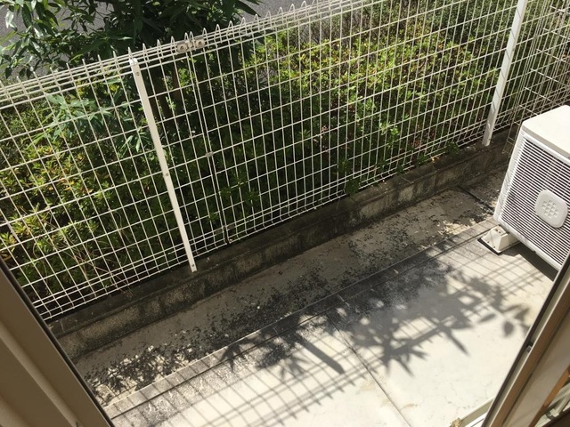 庭