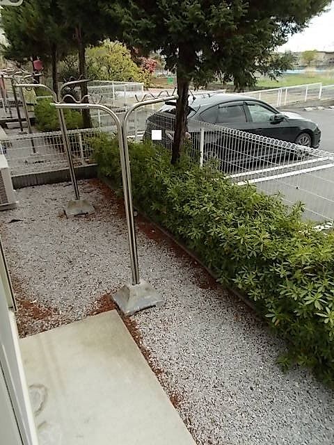 庭