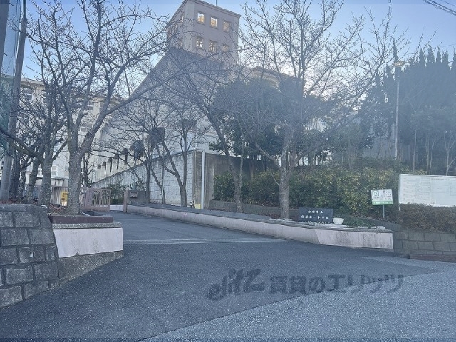 中学校　宝塚市立宝塚第一中学校（中学校）まで1100m