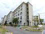 ＵＲ都市機構金剛団地３１５号棟 5階 築57年5ヶ月の賃貸物件