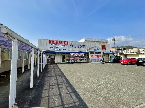 ドラックストア　ウエルシア静岡用宗店（ドラッグストア）まで1123m