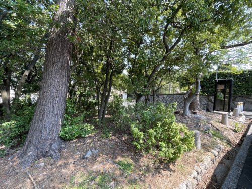 公園　上甲東園1号緑地（公園）まで590m
