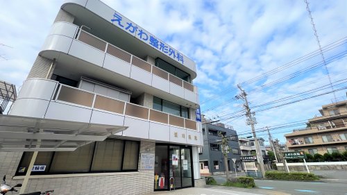 病院　えがわ医院（病院）まで192m