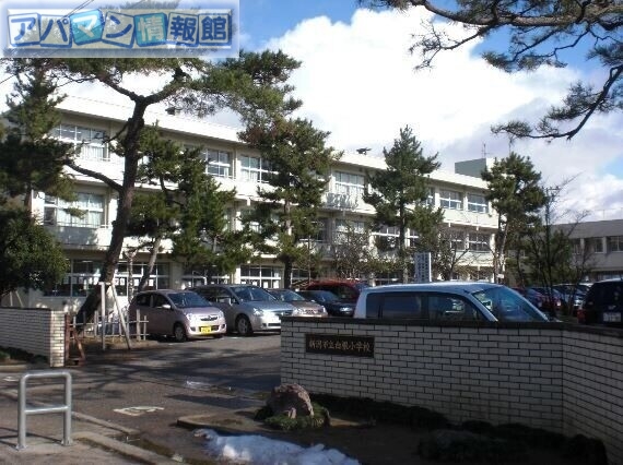 小学校　新潟市立白根小学校（小学校）まで2142m