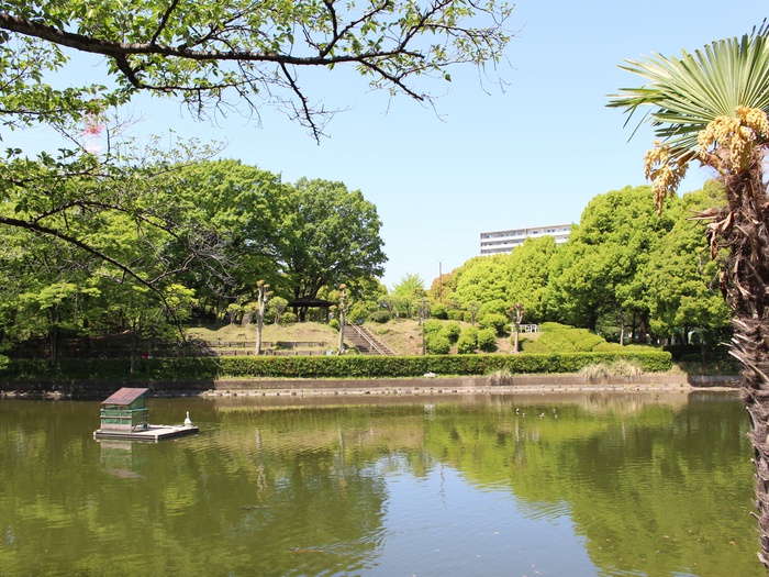 公園　鹿沼公園（公園）まで493m