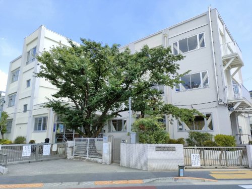 小学校　江戸川区立本一色小学校（小学校）まで213m