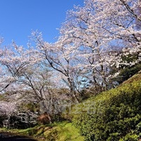 公園　南公園（公園）まで2243m