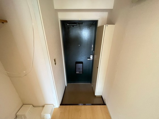 玄関　※別部屋の写真です