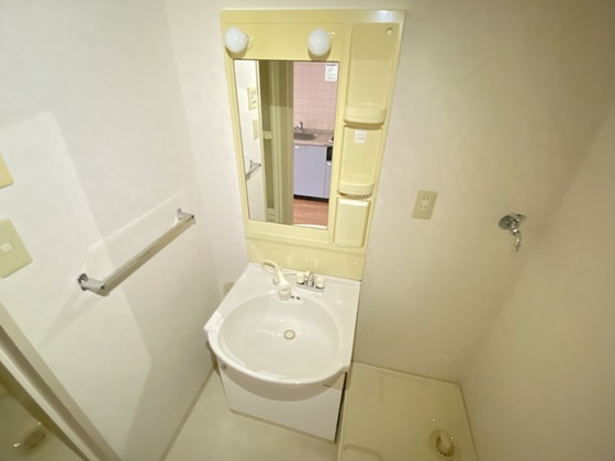 洗面設備　※別部屋の写真です