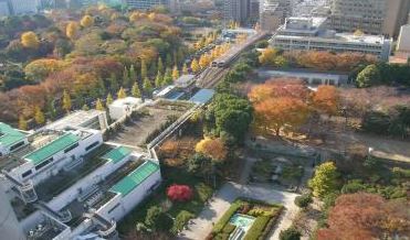公園　礫川公園（公園）まで736m