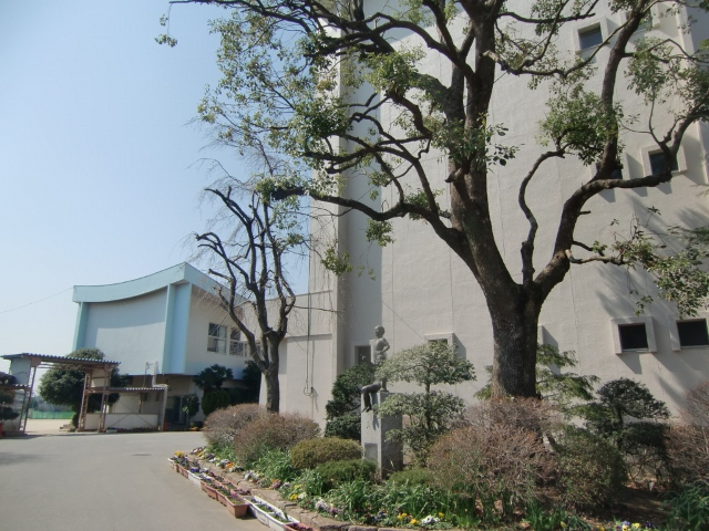 小学校　春日部市立八木崎小学校（小学校）まで670m