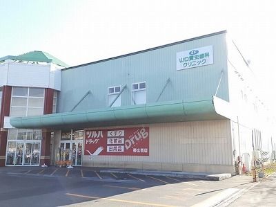 ドラックストア　ツルハドラッグ（ドラッグストア）まで1100m