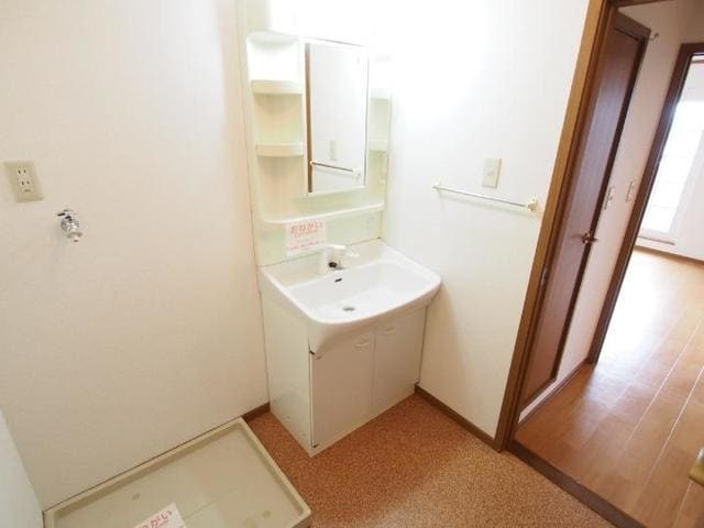 洗面設備　シャワー付きの独立洗面台です。