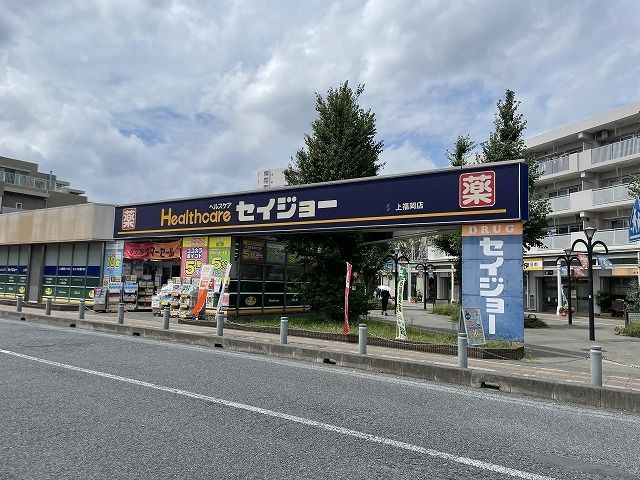 ドラックストア　セイジョー上福岡店（ドラッグストア）まで610m