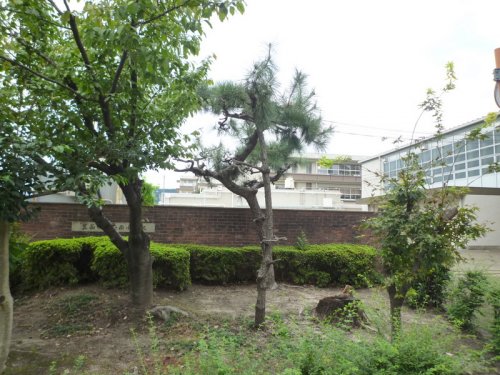小学校　箕面市立西南小学校（小学校）まで620m