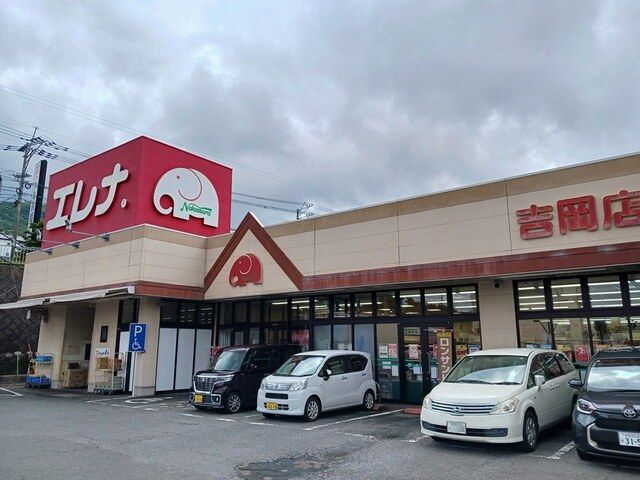 スーパー　エレナ吉岡店（スーパー）まで400m