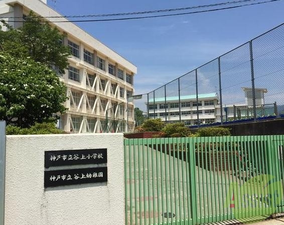 小学校　神戸市立谷上小学校（小学校）まで286m