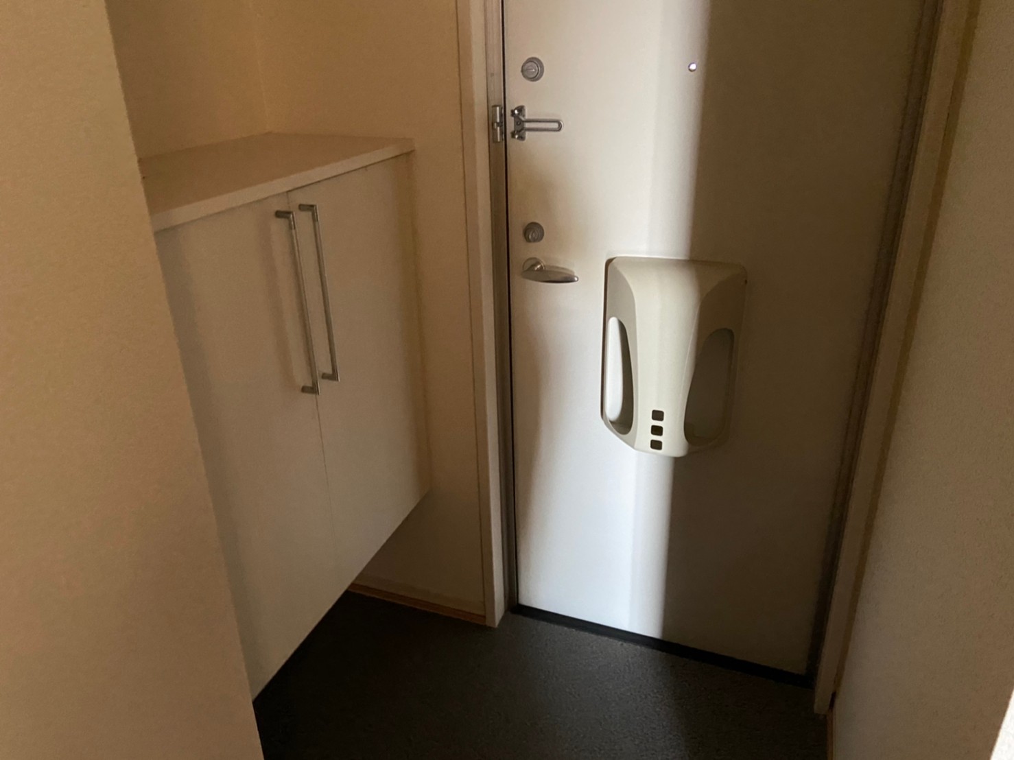 玄関　同仕様写真