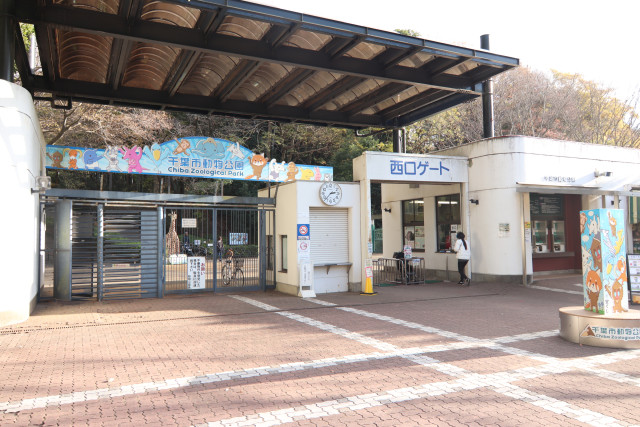 その他　千葉市動物公園（その他）まで1300m