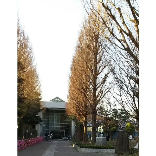図書館　川崎市立高津図書館（図書館）まで929m