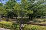 公園　足立区立道海公園（公園）まで200m