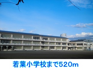 小学校　若葉小学校（小学校）まで520m