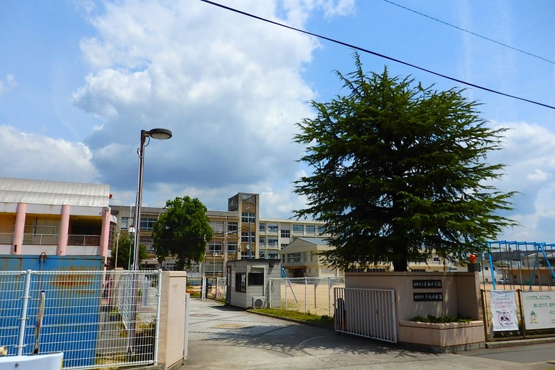 小学校　姫路市立手柄小学校（小学校）まで1285m