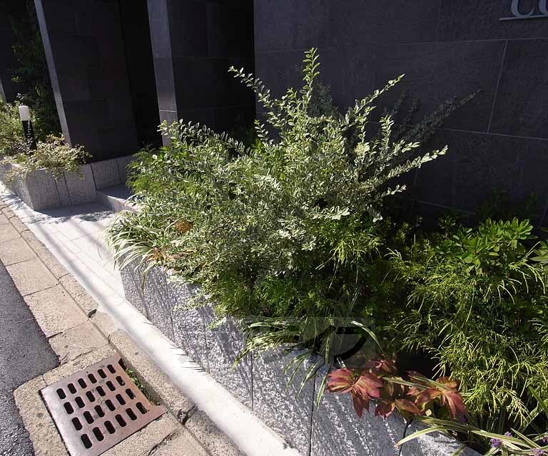 庭