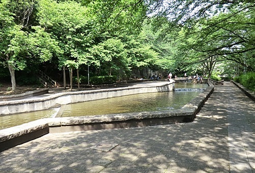 公園　城山公園（公園）まで230m
