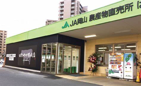 スーパー　JA岡山 はなやか中央店（スーパー）まで250m