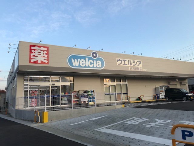 ドラックストア　ウエルシア　長岡関原店（ドラッグストア）まで1010m