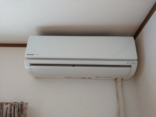 ティーワイ21のその他写真