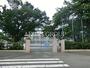 小学校　杉並区立馬橋小学校（小学校）まで624m