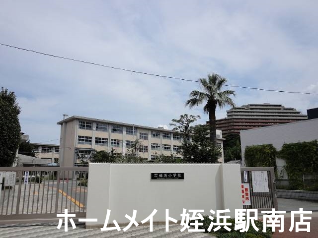小学校　姪浜小学校（小学校）まで834m
