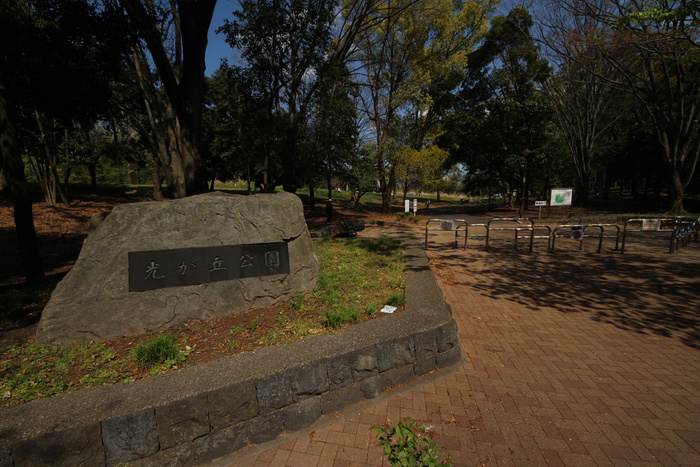 公園　光が丘公園（公園）まで1900m