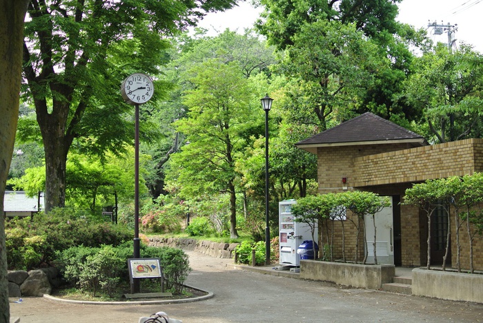 公園　渋谷区立鍋島松濤公園（公園）まで160m