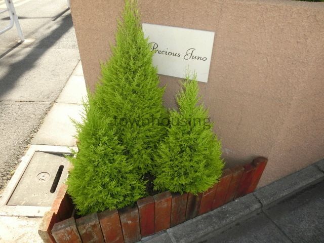 庭