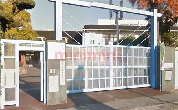 小学校　高槻市立桃園小学校（小学校）まで369m