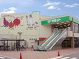 スーパー　サミットストア太田窪店（スーパー）まで769m