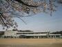 小学校　名古屋市立日吉小学校（小学校）まで588m
