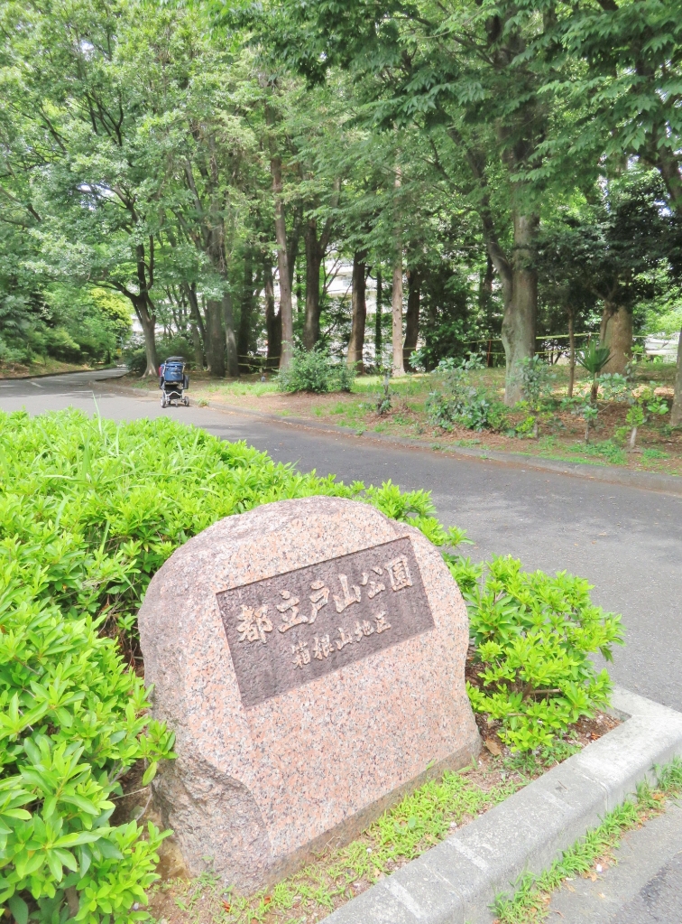 公園　戸山公園（公園）まで90m
