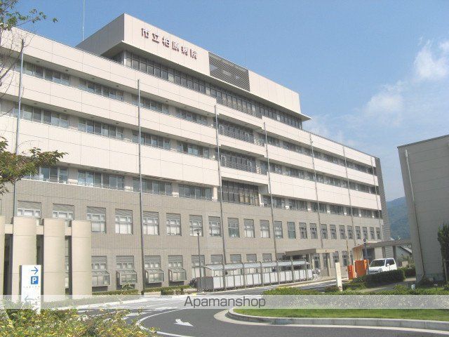 病院　柏原市立柏原病院（病院）まで903m