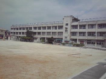 小学校　東大阪市立鴻池東小学校（小学校）まで536m