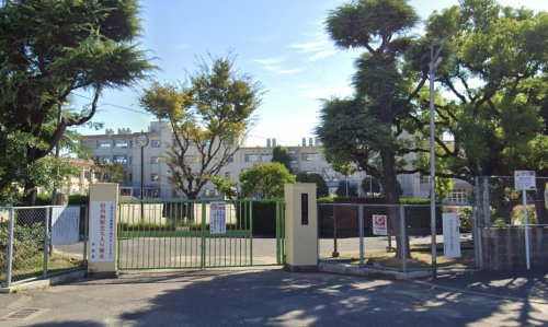 小学校　福岡市立筥松小学校（小学校）まで585m