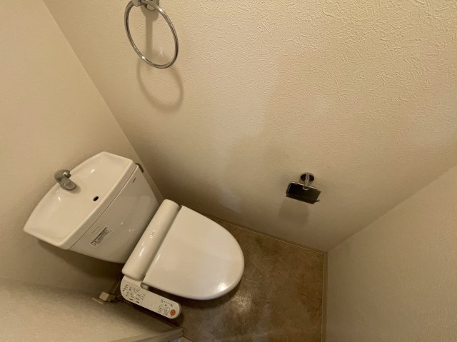 トイレ　同物件別部屋写真