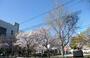 公園　大淀中公園（公園）まで199m