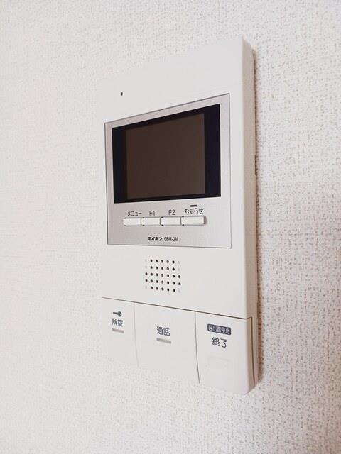 グラシオッソカツラのその他写真